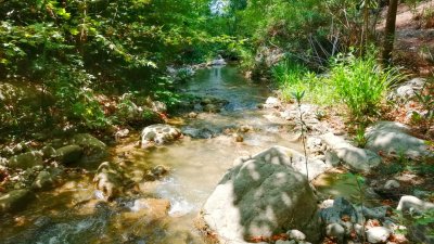 Çamçayı-Bach, Hacıosmanlar (Seydikemer) Foto 8