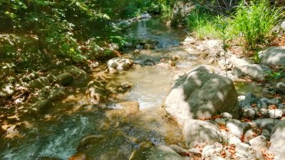 Çamçayı-Bach, Hacıosmanlar (Seydikemer) Foto 9