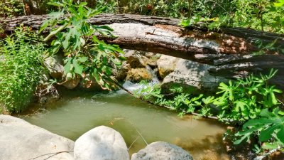Çamçayı-Bach, Hacıosmanlar (Seydikemer) Foto 6