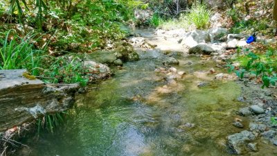 Çamçayı-Bach, Hacıosmanlar (Seydikemer) Foto 3