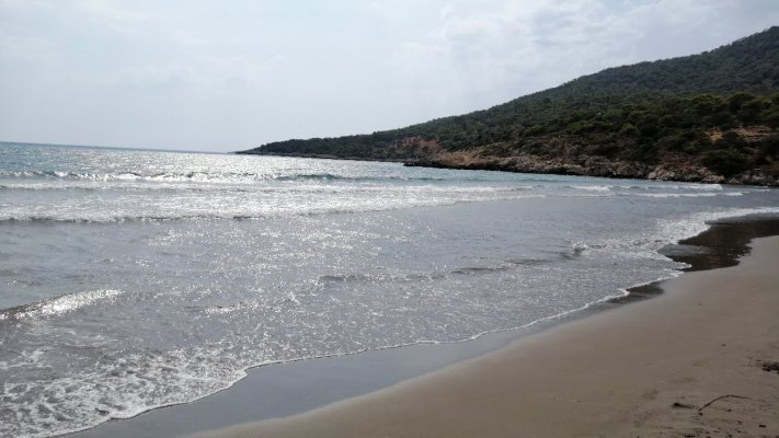 Özlen Strand, Karadere
